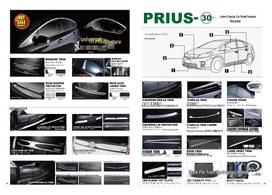 09-15 Toyota Prius 30 Series Front/Rear Tailgate Lower Trim Strip 2009-2015 model years (front and rear phases) sidabras