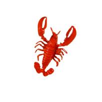 Stylish Red Lobster Patterned Bracelet And Rings Pair Craft Of Sturdy Alloy For A Fun Look red