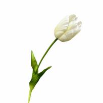 High-End Realistic Tulip Simulation Flower Hand-Held Design Parrot Tulip Artificial Flower Flower Arrangement Real Touch Tulip balta