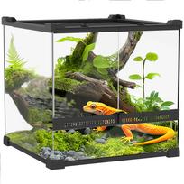 Glass Terrarium for Reptiles, Raised & Waterproof Bottom, Knob Lock 30 x 30 x 30 cm juoda