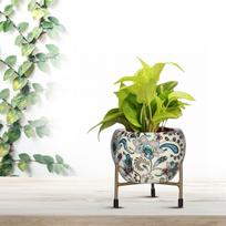 Metal Flower Vase Planter Pot With Iron Stand, Pots For Plants, Plant Pots įvairiaspalvis