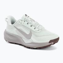 Moteriški bėgimo batai Nike ACG Pegasus Trail barely green/light bone/silver lilac