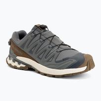 Vyriški bėgimo batai Salomon XA Pro 3D V9 GTX Lifelong sedona sage/coyote brown