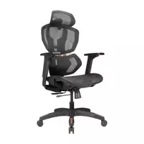 LUMIVIDA PREMIUM ergonomiškos biuro kėdės su galvos ir juosmens atrama, 3D reguliuojamomis porankiais - juodos spalvos