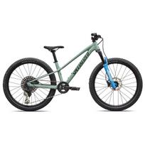 Specialized Riprock Comp 24" vaikiškas dviratis | Gloss Agave Grey - Oak Green Metallic