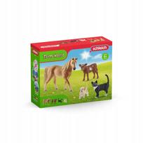 Schleich Farm World ūkio pradinis rinkinys 72161 vaikams nuo 5 metų