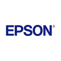 Epson UltraChrome GS3 T45LB00 Metalinis sidabras 500 ml rašalo pakuotė