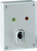 ABUS SE1010 raktų jungiklis - 24V DC, 2 perjungimo kontaktai, IP54, sidabriškai pilkas