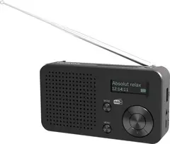 Telestar TOP 100 DAB+ nešiojamas radijas su FM, juodas