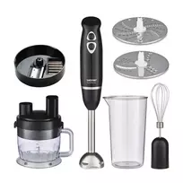 Zelmer ZHB4600 QubeMaster Panardinis blenderis 1200W, reguliuojamas greitis, turbo, juodas/sidabrinis