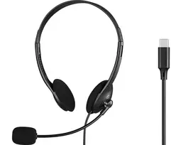Sandberg USB-C ausinės su mikrofonu Bulk (825-31)
