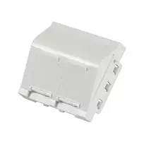 EFB ET-25028 Centrinė montavimo plokštelė 2 Keystone moduliams, kampuota išvada, 45x45 mm
