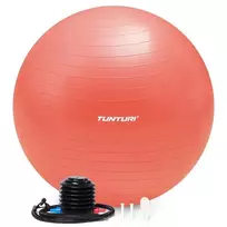 Tunturi Gymball Anti Burst Exercise Ball su pompa 75 cm Rose Gold