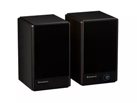 GENESIS ARSEN 402BT 2 krypčių bronzos spalvos laidinės ir belaidės 60 W kolonėlės