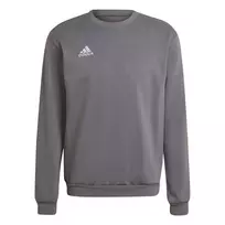 adidas Entrada 22 vyriškas treniruočių megztinis, pilka/balta, dydis M