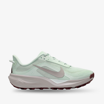 Nike ACG Pegasus Trail W