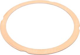JAG99-0074 Galvutės tarpinė 02230216 1mm