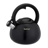 Tefal N4180410 Express Control nerūdijančio plieno virdulys 2,5 l, indukcinis, sidabrinis/juodas