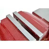 AWTOOLS AW24226 125 mm sukamoji veržtuvas su priekalu ir keičiamais grūdintais žandikauliais