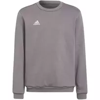adidas Entrada 22 megztinis su gobtuvu, pilkas, jaunimo 140 cm | ITwork.lt