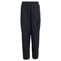 ADIDAS TERREX Laisvalaikio kelnės 'Xploric' juoda / balta