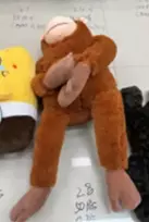 Minkštas žaislas beždžionė su pledu