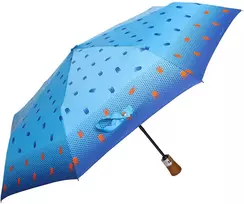 Moteriškas automatinis skėtis FLORIS-2