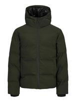 JACK & JONES Žieminė striukė 'JJPayne' tamsiai žalia