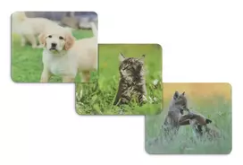 Hama Animal 4 prievadų USB 2.0 šakotuvas su USB-C jungtimi, rudas/baltas šuns dizainas