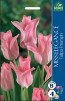 Tulpių svogūnėliai, lot. TULIPA MISS ELEGANCE, 4 vnt