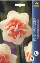 Narcizų svogūnėliai, lot. NARCISSUS PINK PARADISE, 4 vnt