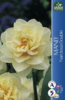 Narcizų svogūnėliai, lot. NARCISSUS MANLY, 3 vnt