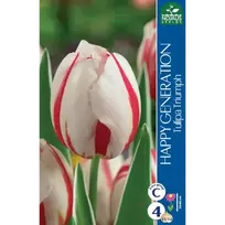 Tulpių svogūnėliai, lot. TULIPA HAPPY GENERATION, 4 vnt