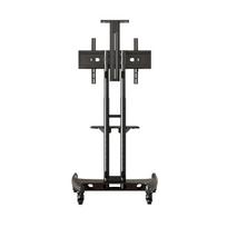 TV laikiklis ant ratų NB AVA1500-60-1P 32-75"
