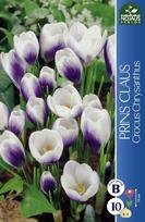 Krokų svogūnėliai, lot. CROCUS PRINS CLAUS, 8 vnt