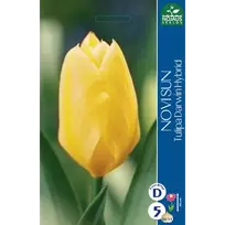 Tulpių svogūnėliai, lot. TULIPA NOVI SUN, 3 vnt