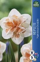 Narcizų svogūnėliai, lot. NARCISSUS REPLETE, 3 vnt
