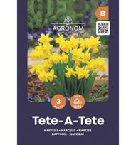 Narcizų svogūnėliai, lot. NARCISSUS TETE- A-TETE GELT, 3 vnt