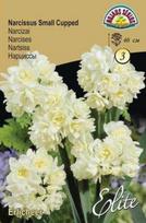 Narcizų svogūnėliai, lot. NARCISSUS ERLICHEER, 3 vnt.