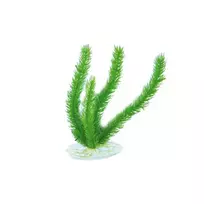 Aquael plastikinis augalas akvariumui ap-048, 20cm