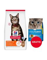 „HILL'S Science Plan Feline Adult with Lamb“ 10 kg suaugusiems katėms su ėriena + 6 kg kačių kraikas NEMOKAMAI
