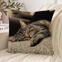 Sleeping Tabby Cat Pillowcase Cozy Nap Kitten Cushion Cover Realistic Pet Home Decor for Sofa Bedroom Living Room 40x40cm