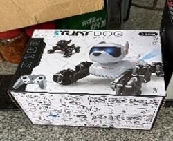 Interaktyvus nuotoliniu būdu valdomas robotas šuo TR2384C