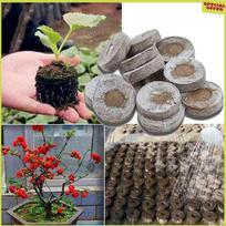 A34R 100Pcs Professional Peat Pellets Plant Starting Soil Block Jiffy Seedling Plugs Environmental Garden Nursery gray