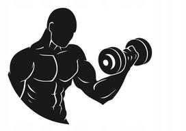 Lipdukas automobiliui, šalmui, nešiojamam kompiuteriui, stiklui BODYBUILDER FITNESS GYM, 18 x 22,2 cm