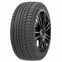 Padangų komplektas GOODRIDE SW608 205/55R16 91H, 2 vnt.
