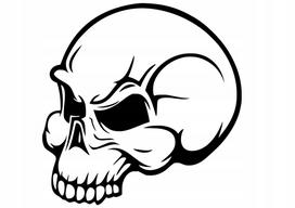 Lipdukas be fono SKULL, 15 x 14,8 cm, automobiliams, motociklams, nešiojamiesiems kompiuteriams, stiklui