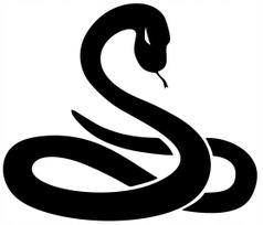 Lipdukas automobiliui ar motociklui „SNAKE“, 18 x 21 cm, be fono