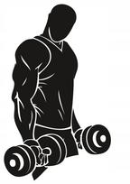Lipdukas automobiliui, šalmui ar nešiojamam kompiuteriui BODYBUILDER FITNESS GYM, 18 x 10,9 cm