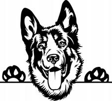 Lipdukas automobiliui ar motociklui „German Shepherd“, 21 x 23,4 cm